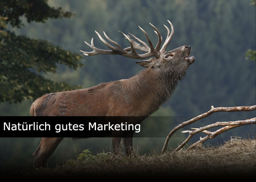 Marketing Informationen